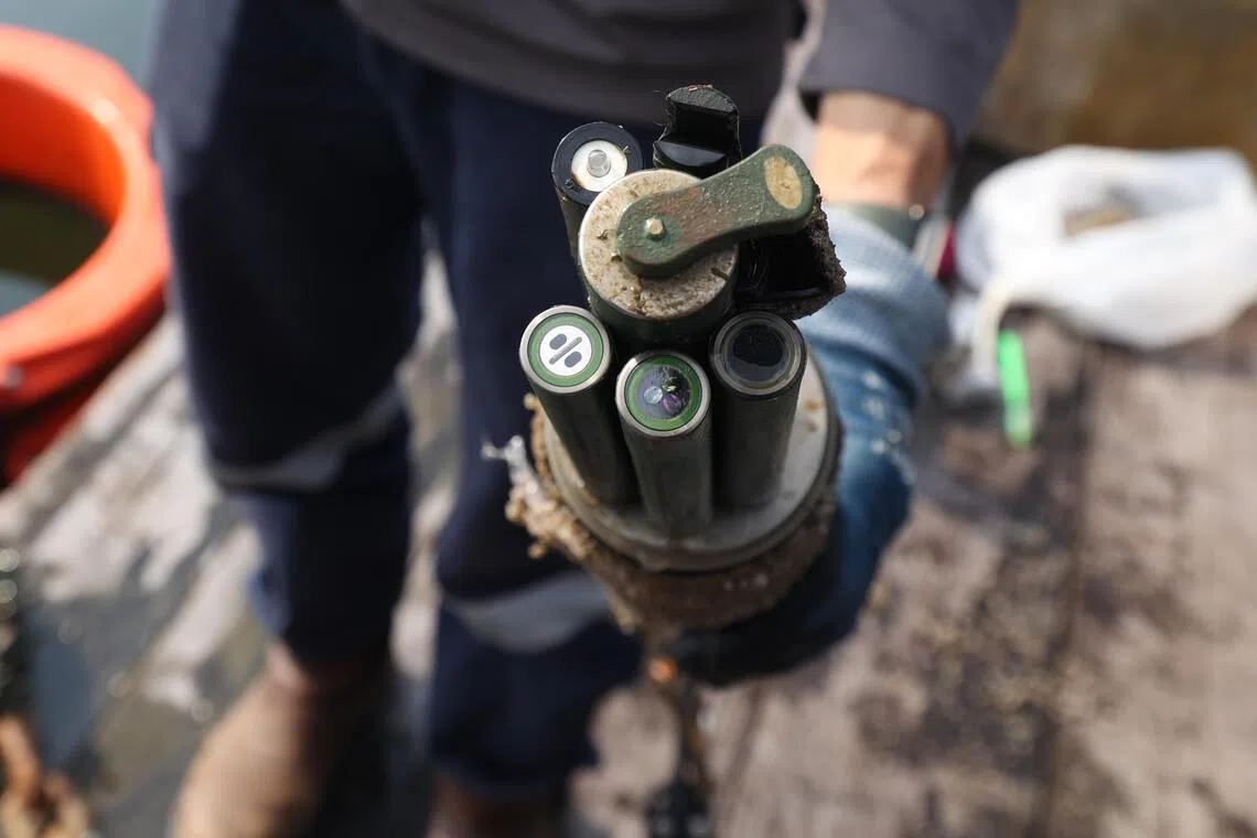 水质感应系统入水后，可实时监测溶解氧、温度和酸碱值等各种水质参数，让食品局和渔场业者一旦发现异常，可及时采取缓解措施。（郑一鸣摄）