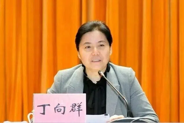 丁向群获任命中国国家金融监督管理总局局长