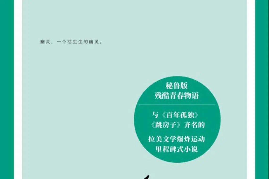 《城市与狗》是略萨根据自己少年时在军校的亲身经历写成。（互联网）
