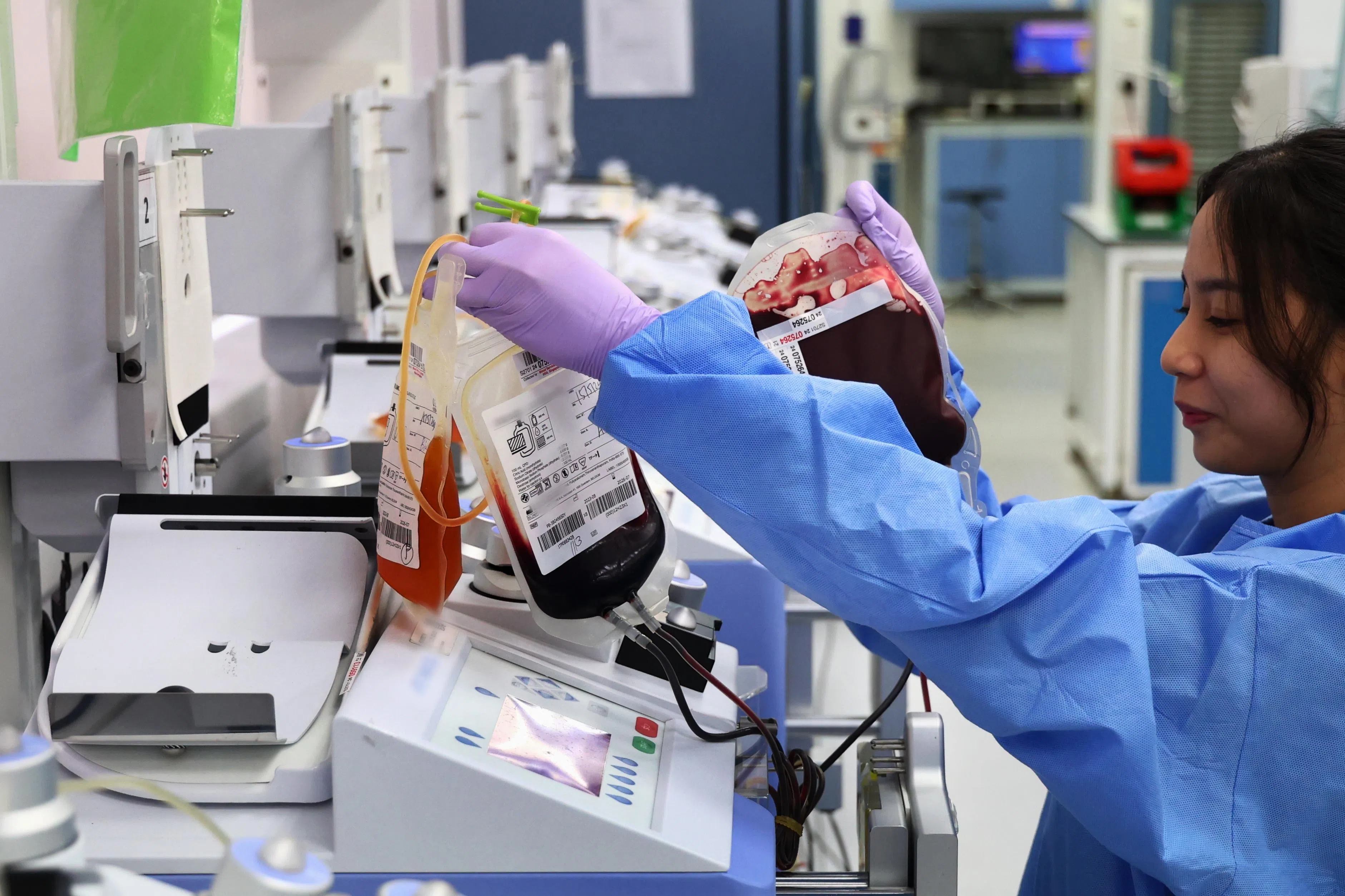 卫生科学局血液处理实验室的工作人员使用机器分离血液成分，包括红细胞、血小板和血浆。（林明顺摄）