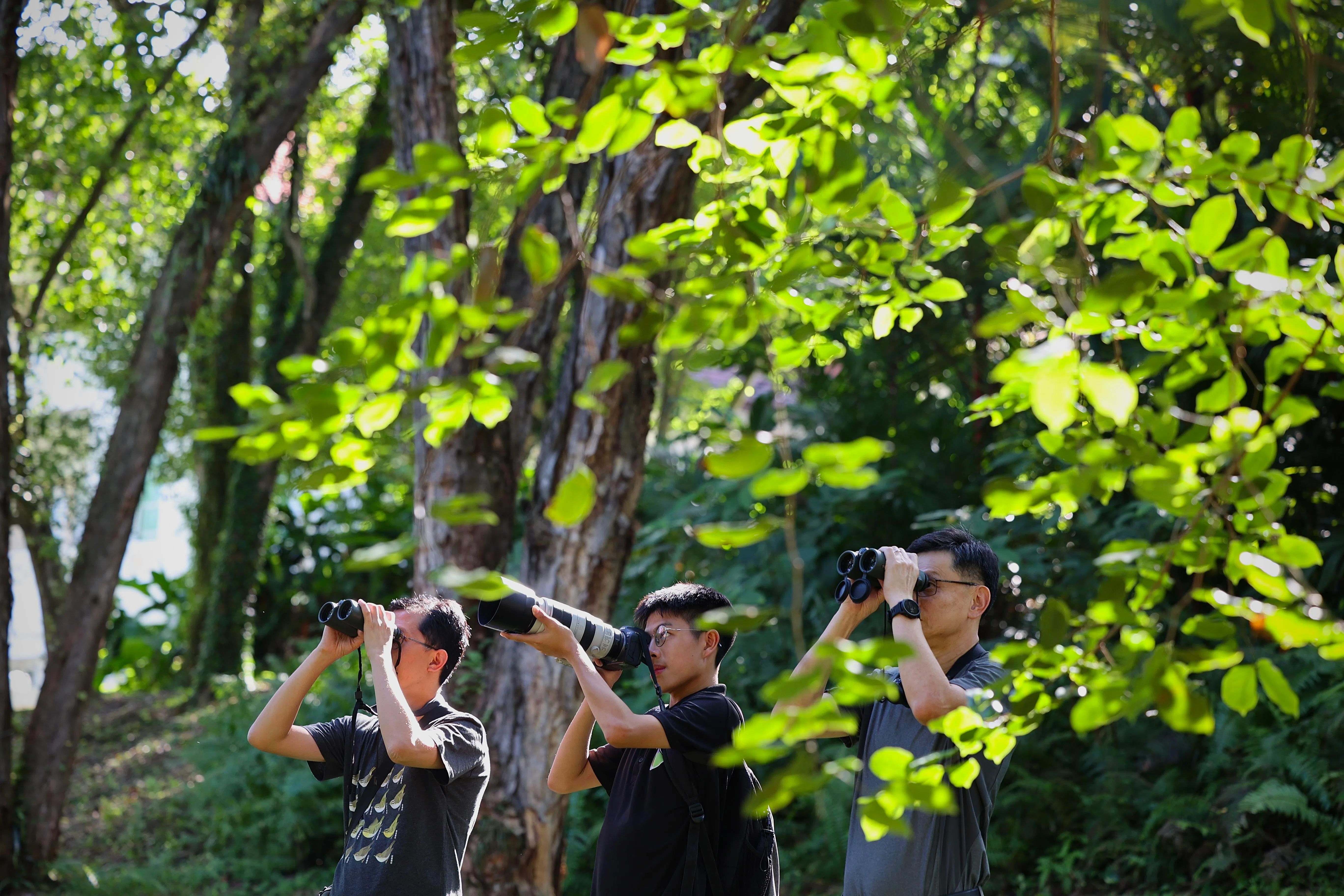 新加坡观鸟活动蓬勃发展，林金泉（63岁，右起）、沈颖（17岁）与新加坡鸟类保育工作者杨鼎立博士（42岁）为自然志记录尽一份力。（龙国雄摄）