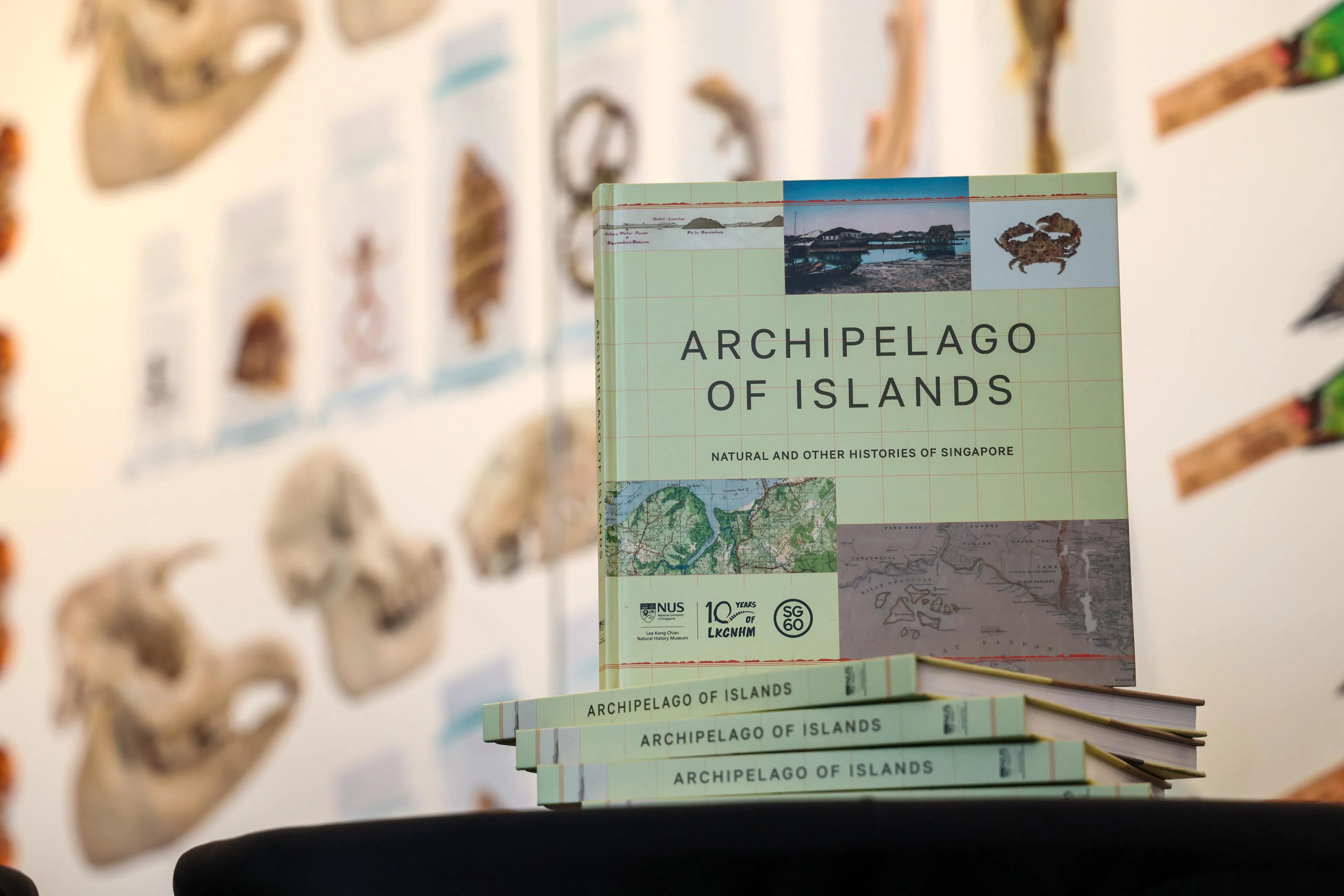 新书《岛屿：新加坡自然与历史记》，勾画出新加坡岛屿的历史、大自然和文化角色。（陈渊庄摄）