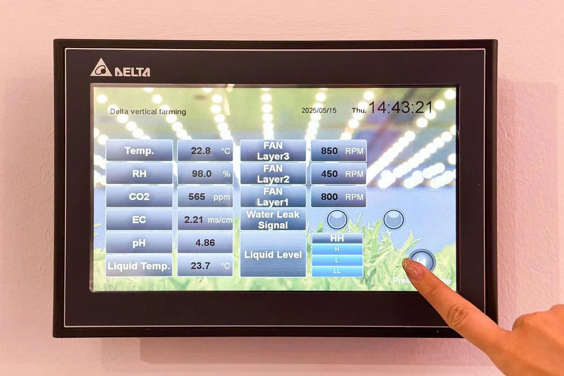 工作人员可使用VTScada监控软体，远程实时观察种植室内作物的生长情况。LED照明、水流灌溉、空气温度、营养液及水温水位等，都可通过系统自动操控和监测。（台达新加坡提供）