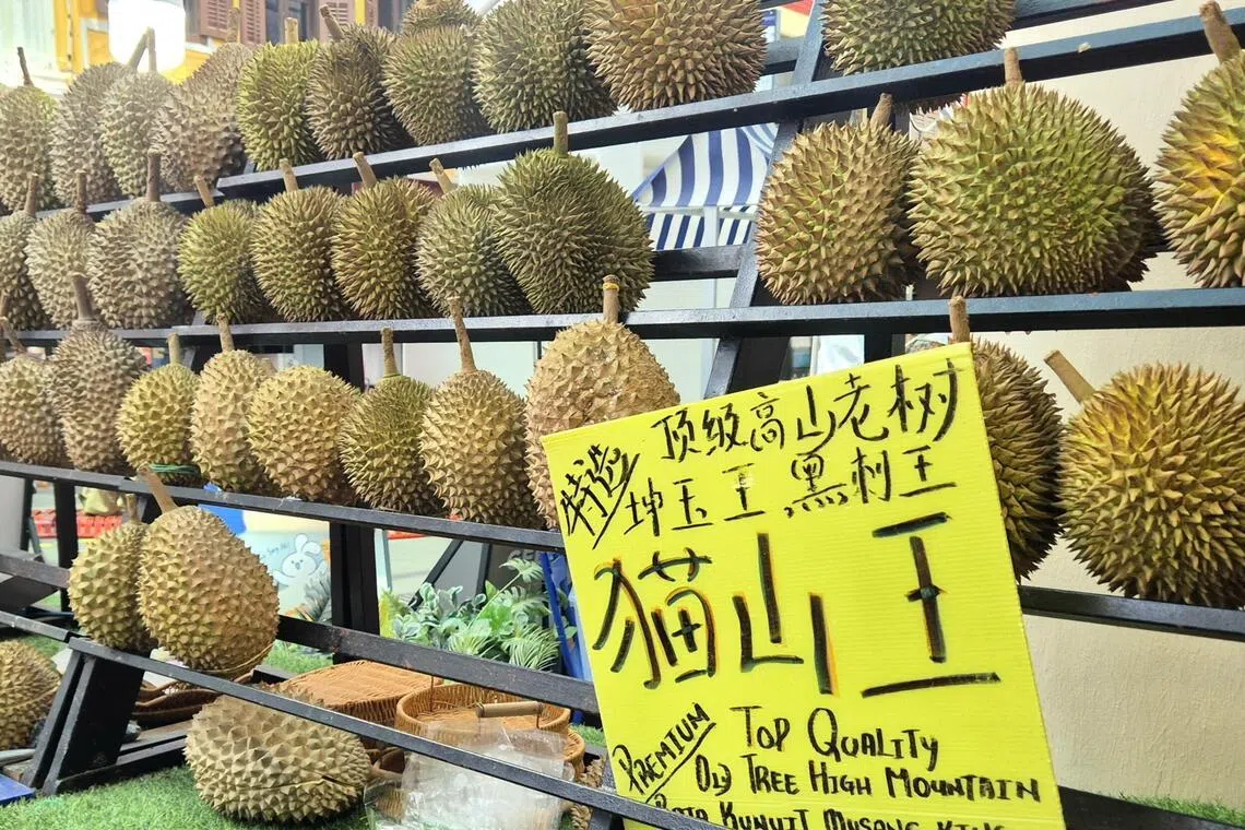 爷爷榴梿园全年供应新鲜现开现吃榴梿。（陈爱薇摄）