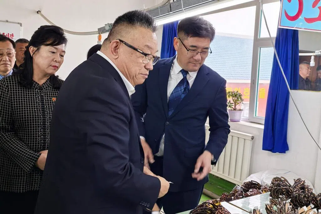 中国驻朝大使馆公参访问朝中俄接壤地区六天