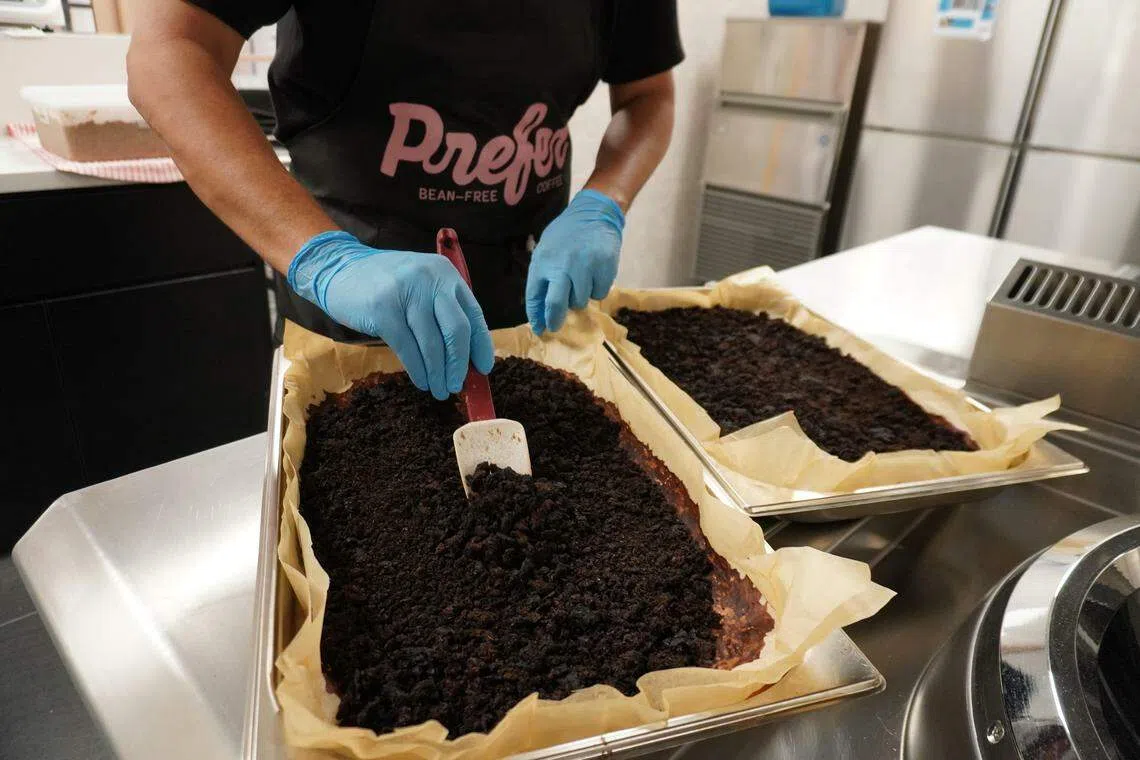 经过发酵和烘烤后磨成粉，冲泡方法与咖啡豆磨成的咖啡粉无异。（Prefer提供）