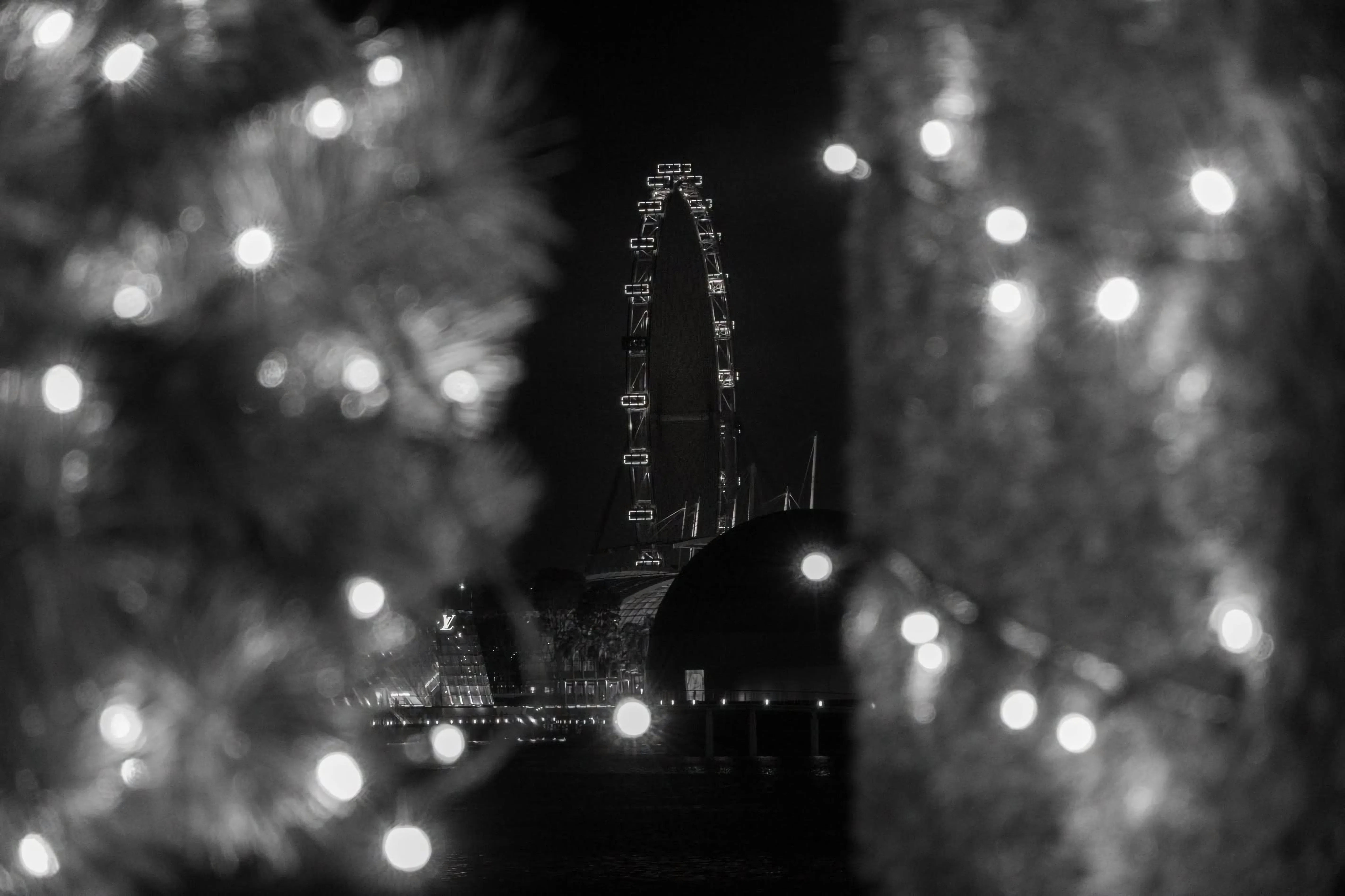 2019年拍摄的新加坡摩天观景轮。拍摄时临近圣诞节，照片前景点缀着节日灯饰。（取自李资政脸书）