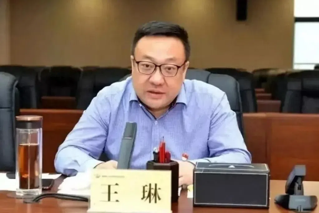 中共乌鲁木齐市委书记王琳任新疆党委副书记