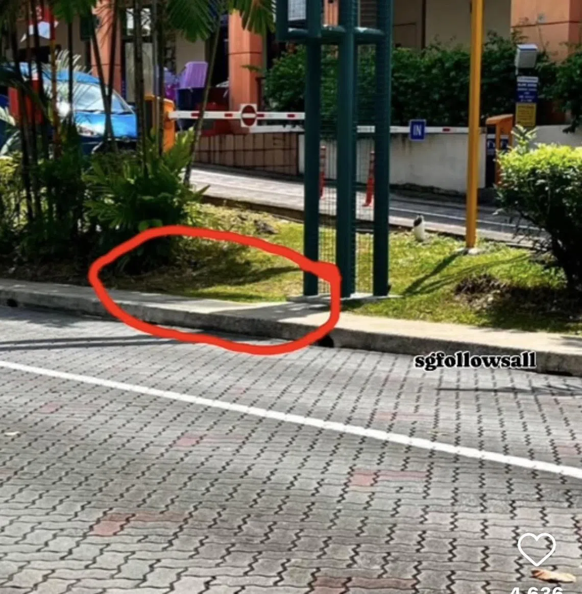 图为受害人在自媒体上指认的案发地点。（视频截图）