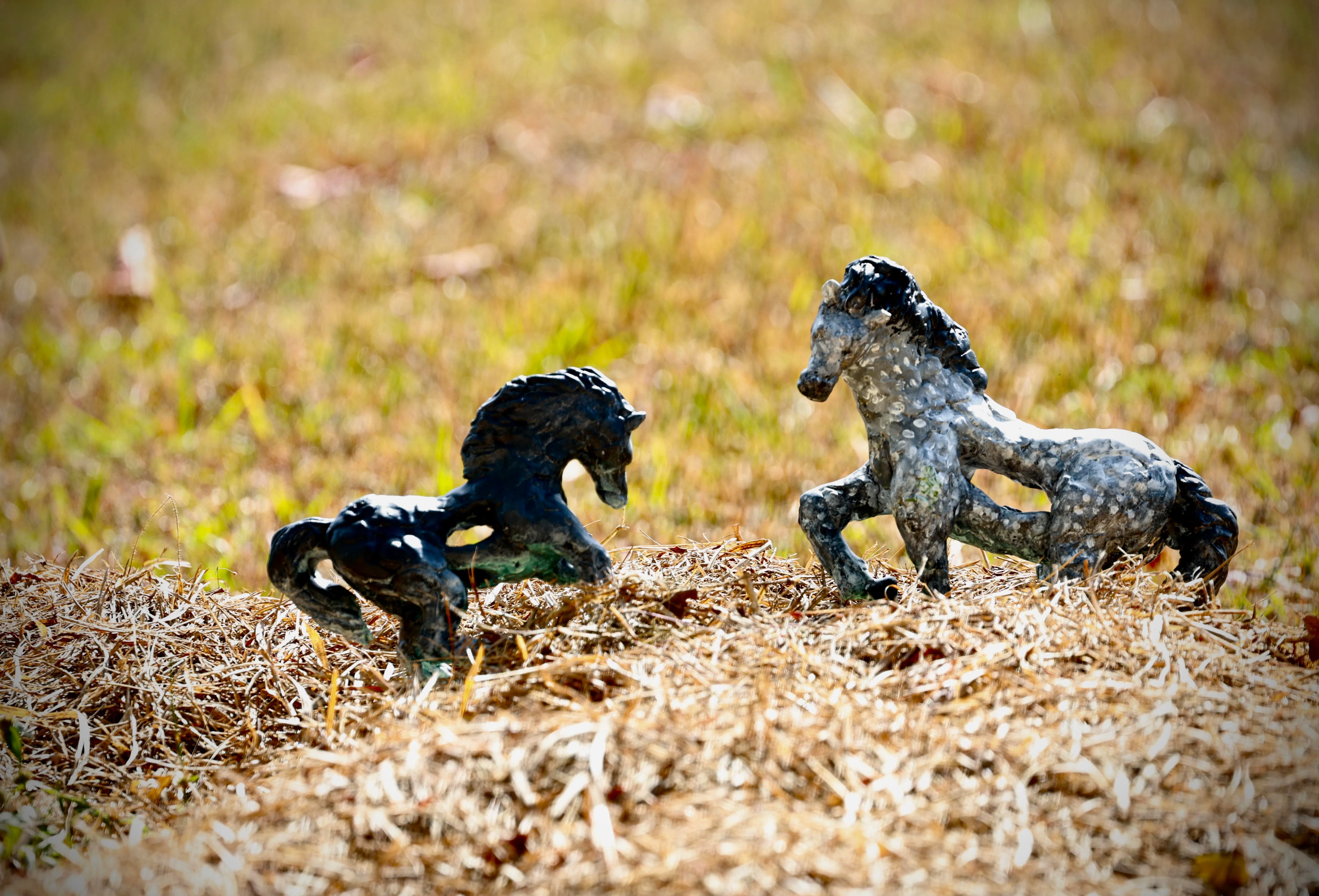 蔡汶家的母子马寓意亲情。（特约摄影陈来福）