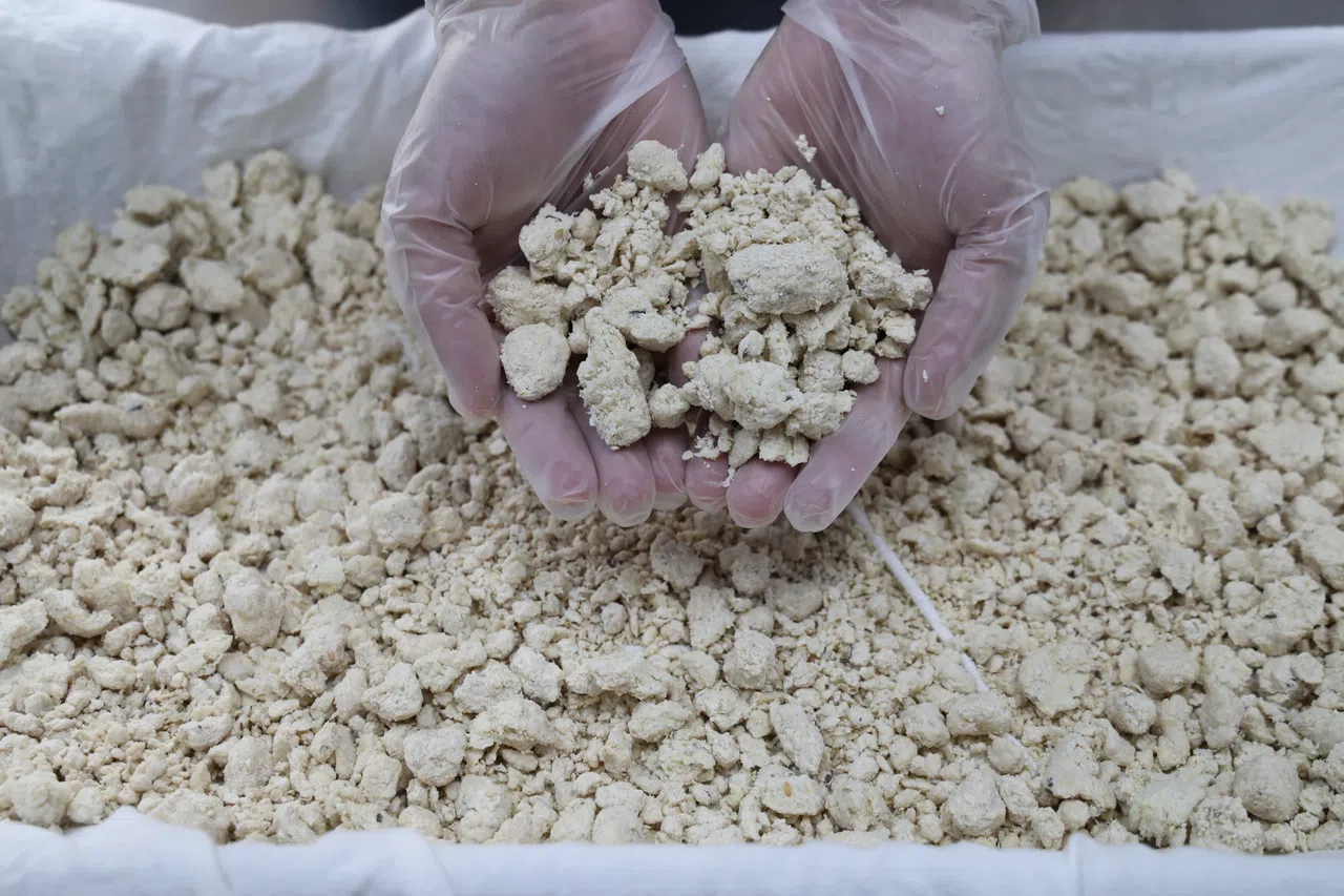 加工厂每两天可处理多达600公斤豆渣，将之转换成400公斤植物肉。（梁麒麟摄）