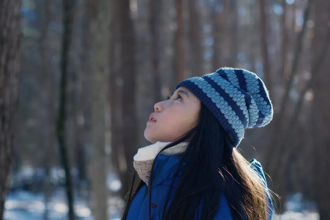 男主角的8岁女儿在林中望天的视点，也可联结到男主角在片中一再砍树、劈柴——树的“临终视点”。（剧照／互联网）
