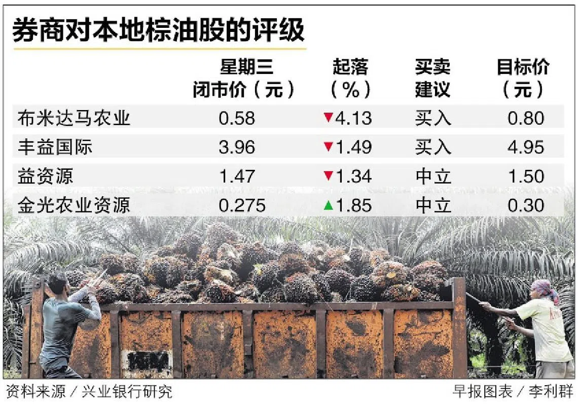 产量过剩需求下滑马国棕榈油期货价跌至六周新低| 联合早报