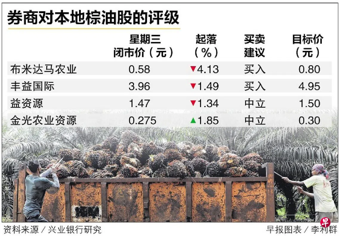 产量过剩需求下滑马国棕榈油期货价跌至六周新低| 联合早报