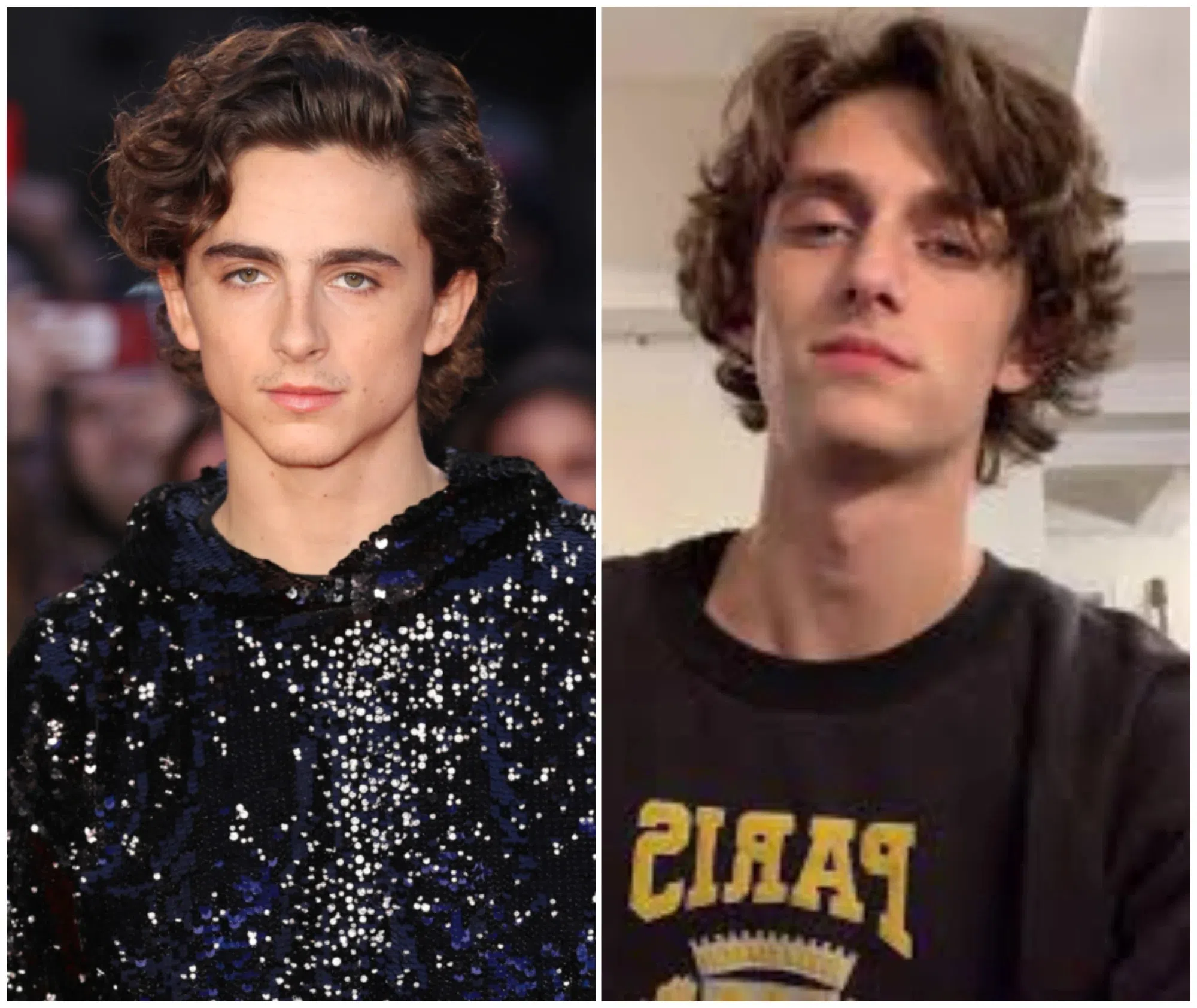 舒莉男友托比（右图）和当红好莱坞炸子鸡“甜茶”蒂莫西柴勒梅德样貌和气质神似。（互联网）