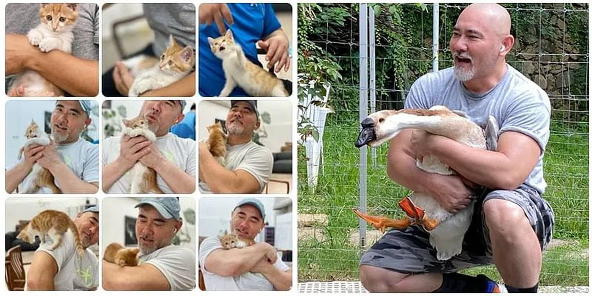 赵文瑄家里养各种动物，有猫有鹅。（取自艺人微博）