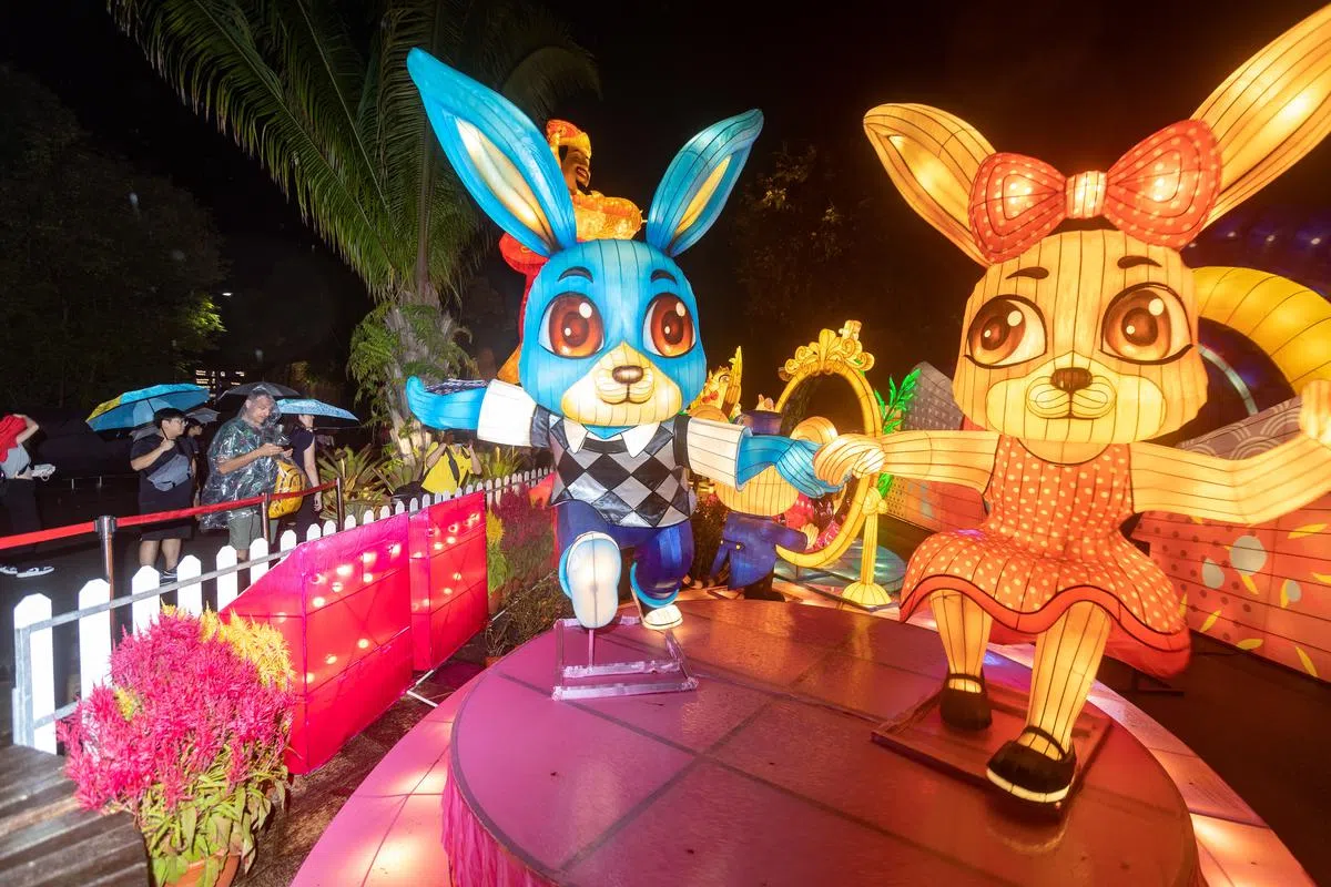 公众可在滨海湾花园举行的春到河畔，欣赏到五彩缤纷的灯饰。（关俊威摄）