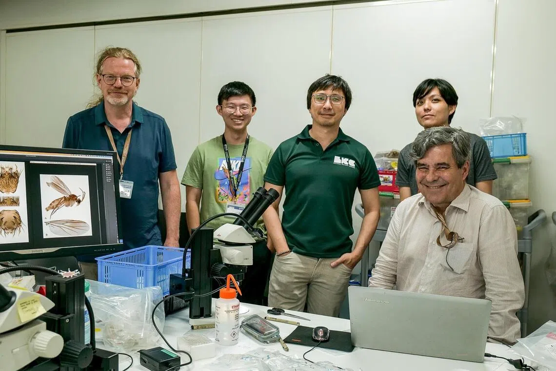 参与菌蝇研究的部分团队成员，包括来自挪威的谢兰森教授（Prof Jostein Kjærandsen，左起）、李衍辉、翁宇晨、田子贤，以及巴西圣保罗大学的昆虫学家阿莫林教授（Dalton de Souza Amorim）。（国大李光前自然历史博物馆提供）