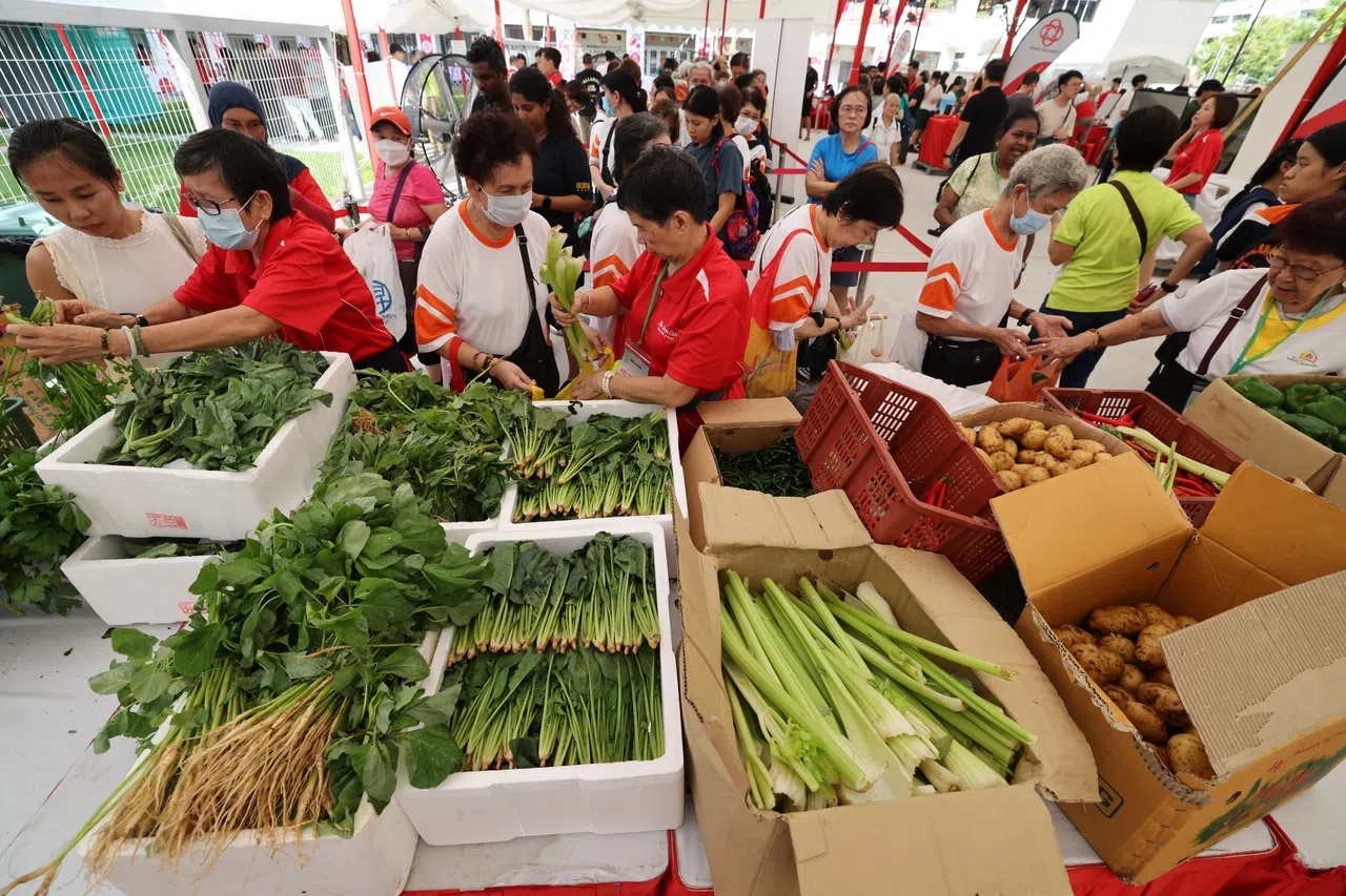 义顺星期六（7月19日）举办绿色嘉年华，通过不同活动向居民推广环保生活方式。（梁麒麟摄）