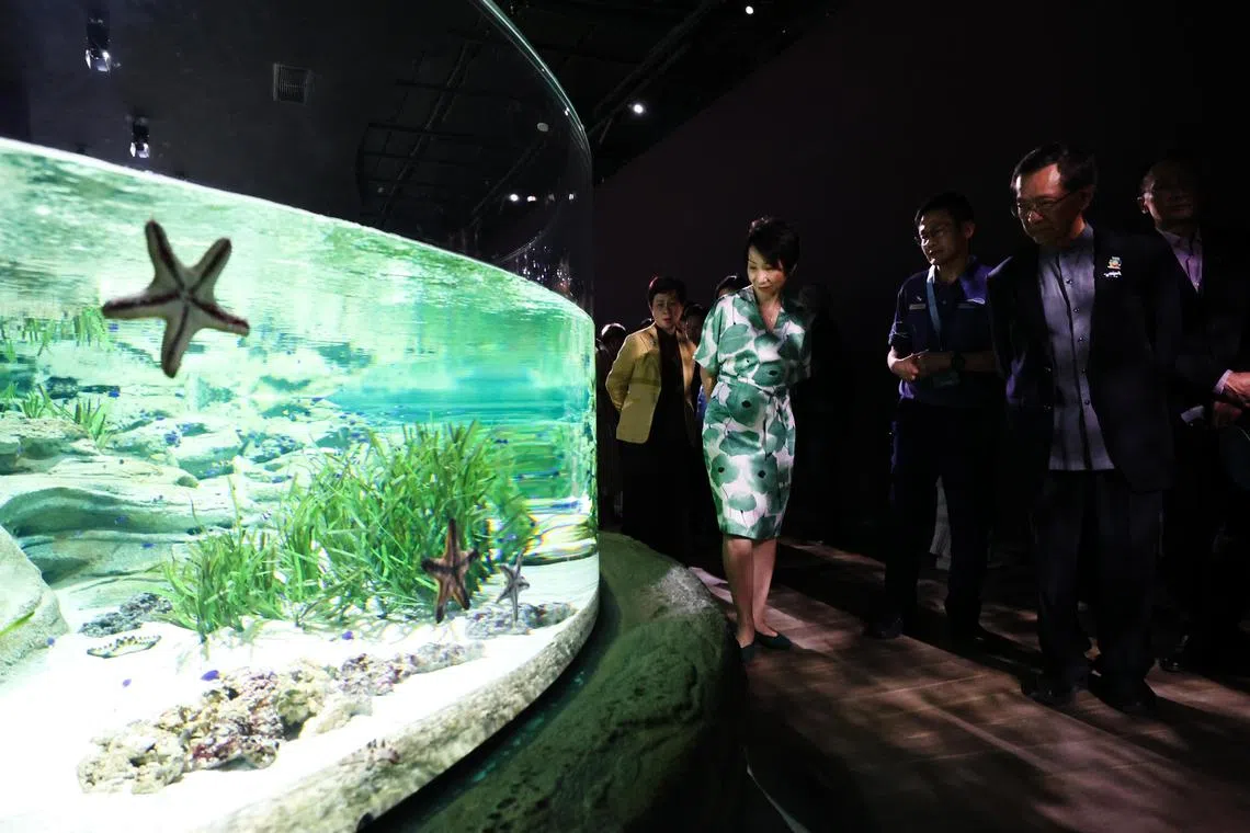 主管贸易关系的永续发展与环境部长傅海燕（绿衣者）在云顶新加坡执行主席林国泰（右一）的陪同下，参观海洋生态馆的新展区“海洋奇观”（Ocean Wonders）。（蔡家增摄）