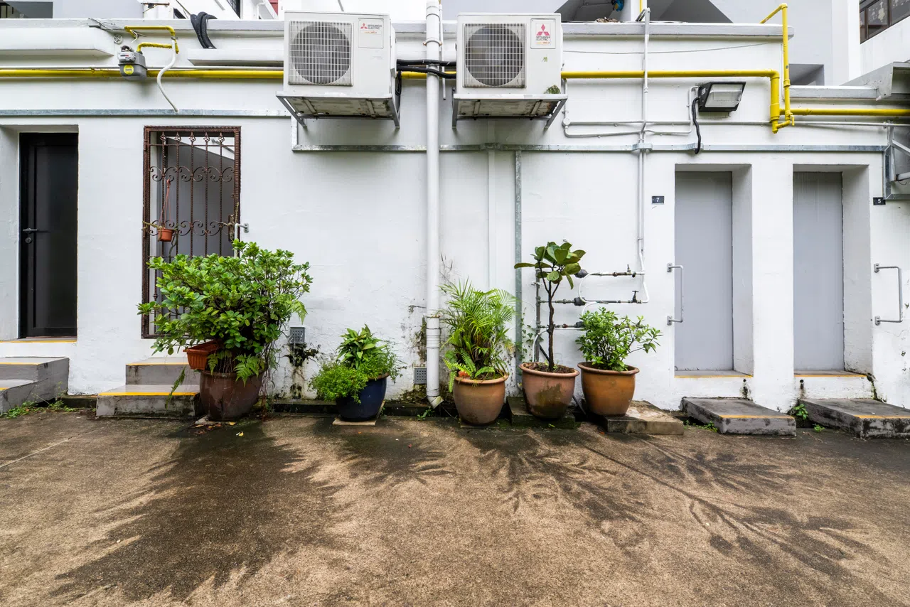 新加坡艺术家蔡艾芳用高压水枪“画”出盆栽的阴影。（宅生记提供）