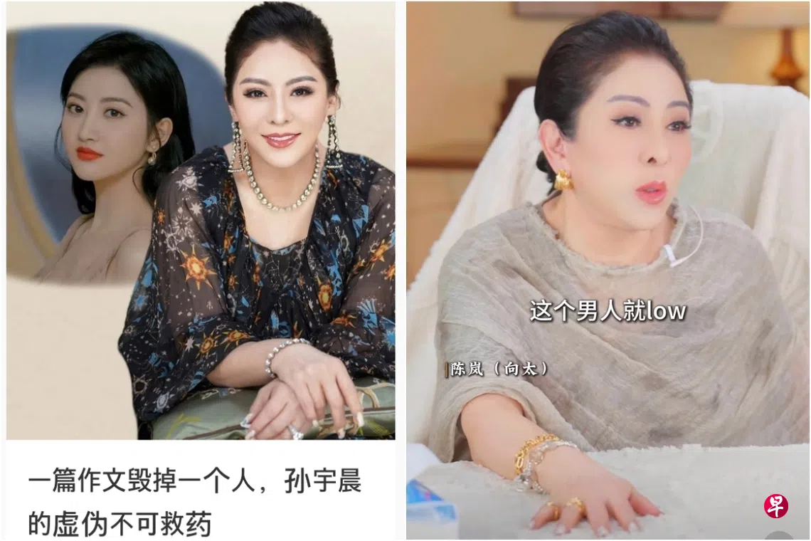向太（左图右，右图）发布视频为景甜（左图右）发声。 （向太小红书视频截图）